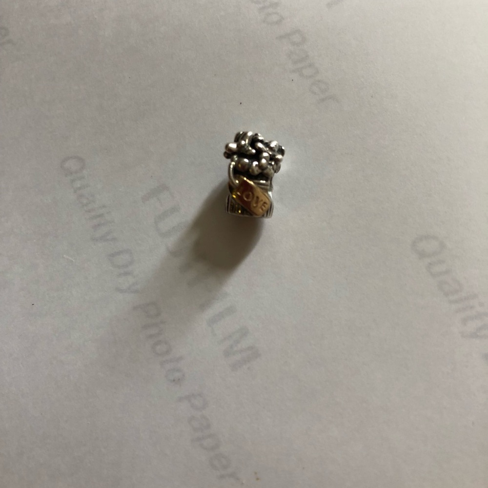 Pandora charm